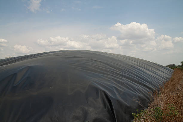 ballon de biogaz - anaerobic photos et images de collection