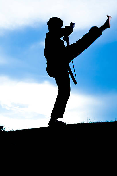 Martial artist performing a high kick on a sunset in nature. Yoko Geri fighting stance.