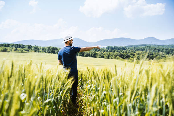 istock Man in the wheat field 543075250