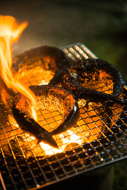 istock The barbecue grill / Grilled saury 543077622