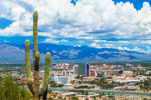 istock Tucson Aerial Skyline View with Dramatic Clouds and a Cactus 543079650