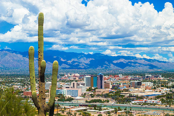 Tucson Aerial Skyline View with Dramatic Clouds and a Cactus Aerial view of Downtown Tucson and the Tucson area with a Saguaro Cactus in the foreground and dramatic clouds and the Santa Catalina Mountains in the background, during summertime (including during the summer monsoon.) tucson stock pictures, royalty-free photos & images