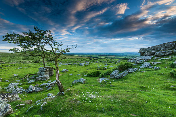 istock sunset in wilderness of Dartmoor, UK 543080520