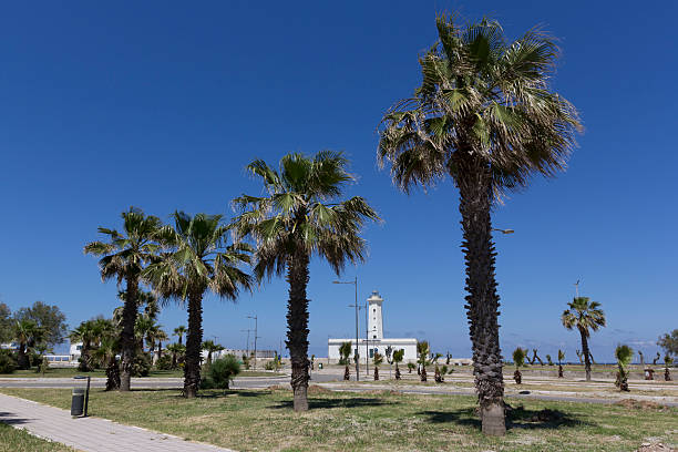 Town of San Cataldo: Lighthouse between palms