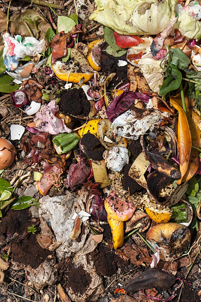 istock organic waste taken from above 543085110