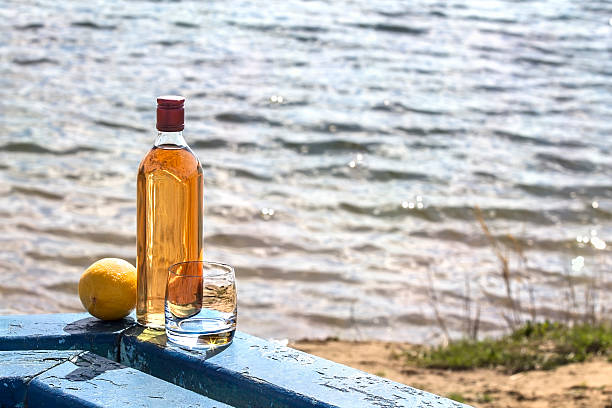 bottiglia di whisky e bicchiere con limone sulla riva del lago - gin decanter whisky bottle foto e immagini stock