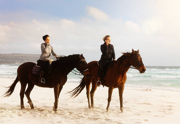istock Staying in touch: horseriders on beach, talking on cellphones 543086110