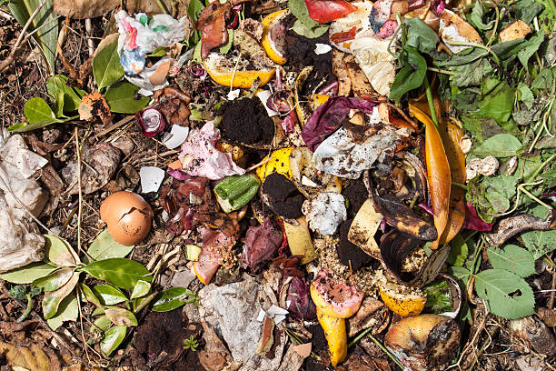 istock top view of organic waste 543086382