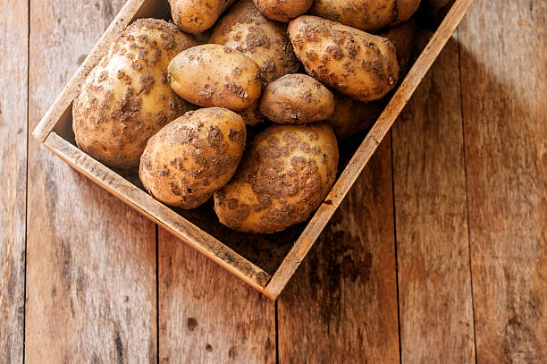 istock Raw Organic Golden Potatoes 543087594