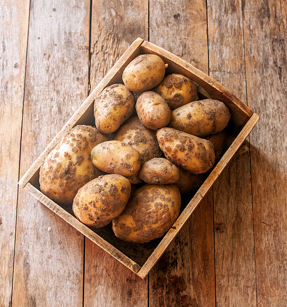 istock Raw Organic Golden Potatoes 543087700