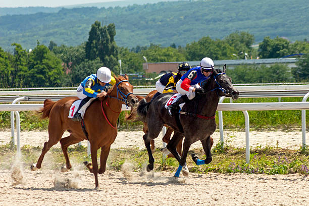 istock Horse racing in Pyatigorsk 543173936