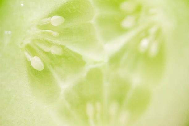 istock cucumber slices on wooden background 543174512