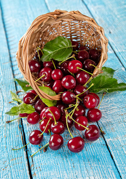 istock Cherries in basket, placed on old wooden planks 543174708