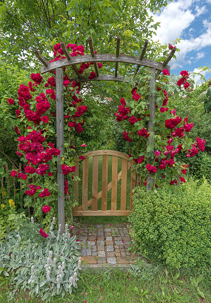 Open gate with footpath.