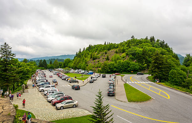 스모키 산 방문자들에 주차장 - great smoky mountains great smoky mountains national park tree group of objects 뉴스 사진 이미지