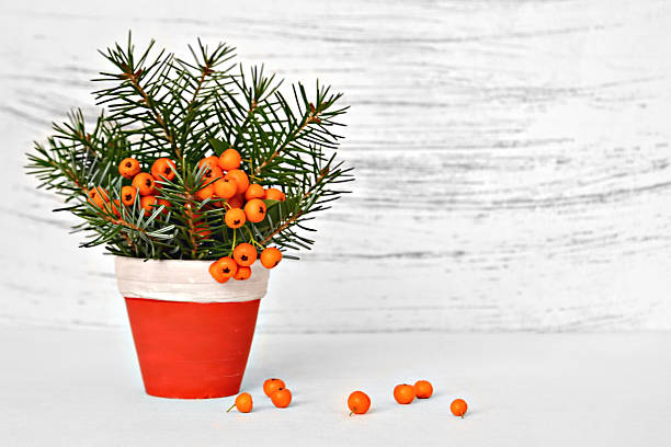 Natural Christmas decoration