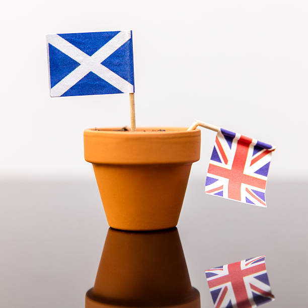 istock plant pot with scottish and british flag 543178156