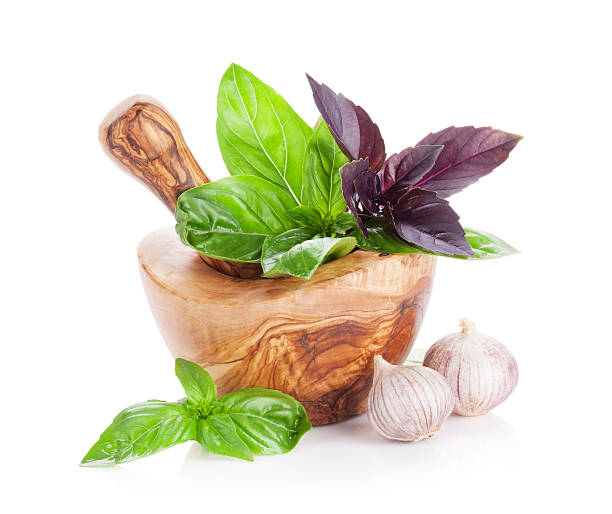 istock Garden herbs in mortar 543178538