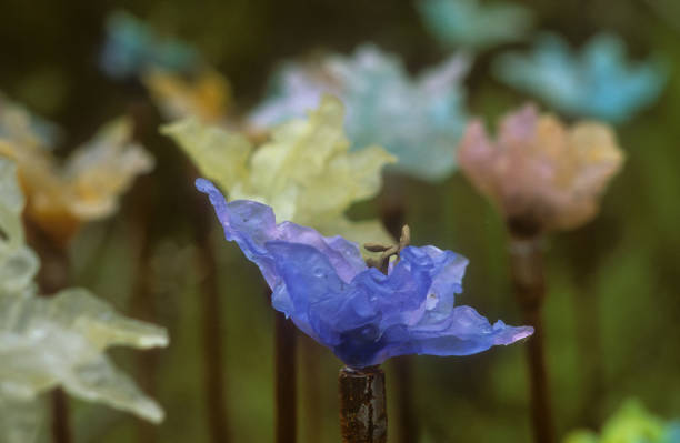 Glass flowers within the National Trust Garden Trelissick in Cornwall.