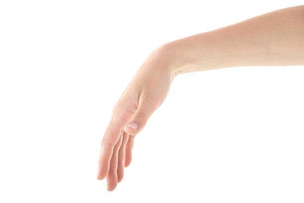 istock Female Hand is Reaching Gently on White Background 543180472