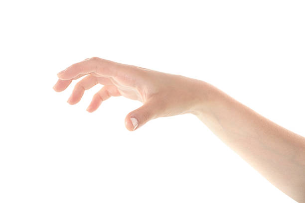 istock Female Hand is Catching Something on Isolated White Background 543180490