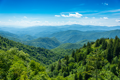 A view over the tops of trees to the Smoky Mountain range in Tennessee, USA.