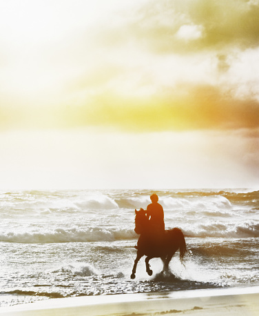 three people on horse back riding on wet sandy beach at sunset