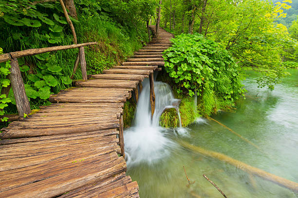 istock Plitvice lakes park in Croatia. 543182246