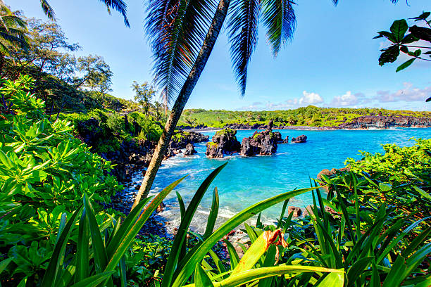 istock Waves breaking on the rocks on a sunny day. Maui 543186094
