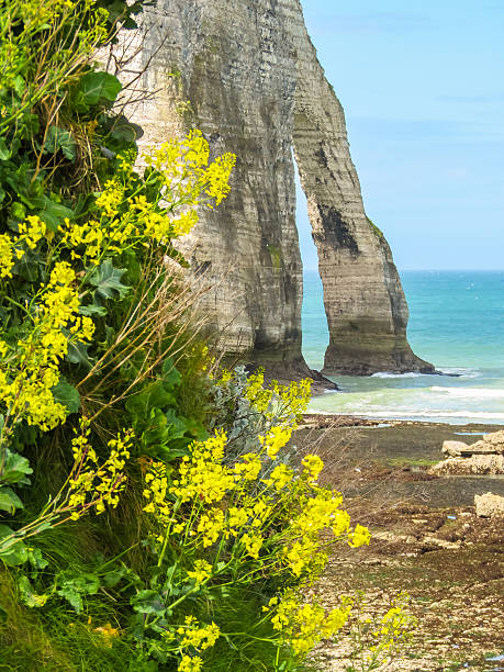 istock Cliffs Porte d'Aval in Etretat, France 543186866
