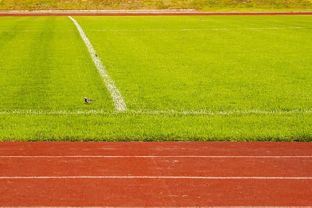 istock Athletic tracks in stadium for athletes 543187218