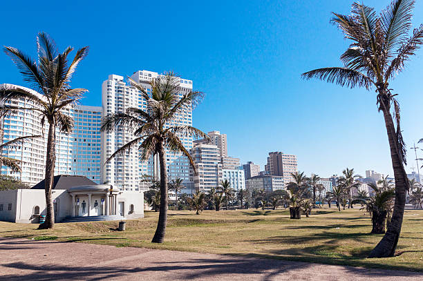 istock Palm Trees and Grass Lawn against City Skyline 543187988