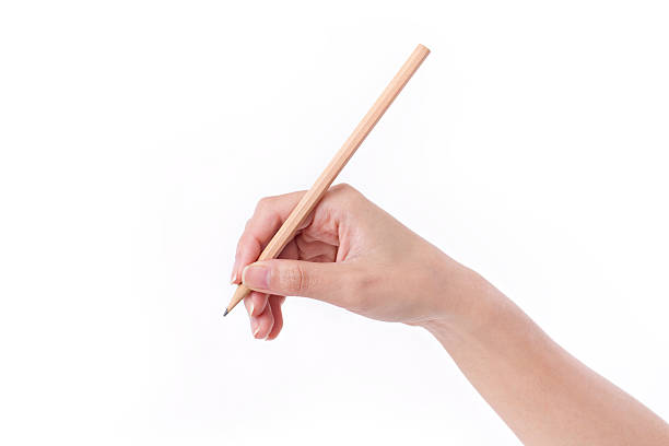 istock woman hand holding pencil, writing, drawing, pointing 543188148