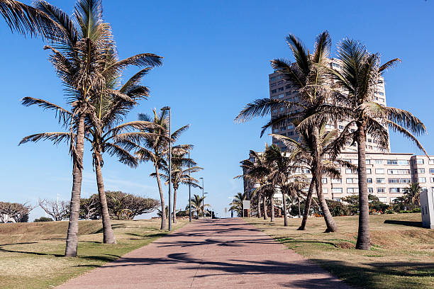 istock Palm Trees and Paved Walkway Lead Toward Residential Complex 543188268
