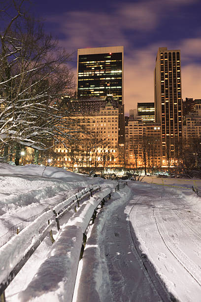 istock Central park by night, New York City 543190816