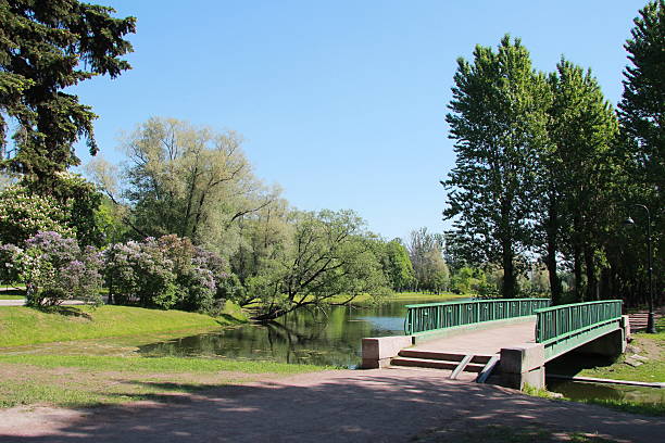 istock Sunny day in the Park. 543194026