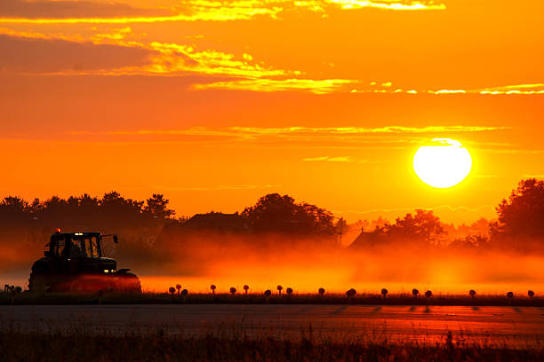 istock Airport Summer Sunrise 543196412