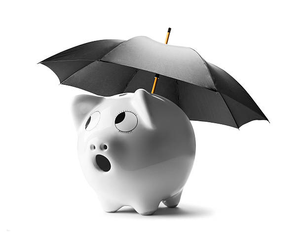istock Piggy bank under a black umbrella with clipping path 543196684