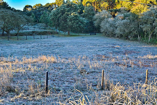 istock Beautiful countryside with frost 543197354
