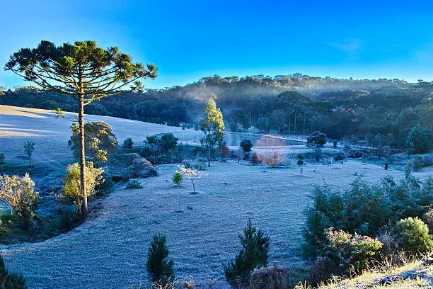 Beautiful countryside with frost in the city of Campo Alegre, Santa Catarina, Brazil. Photo taken on 12.06.2016 on a Sunday morning, with temperatures ranging between -3 ° C and 1 ° C.