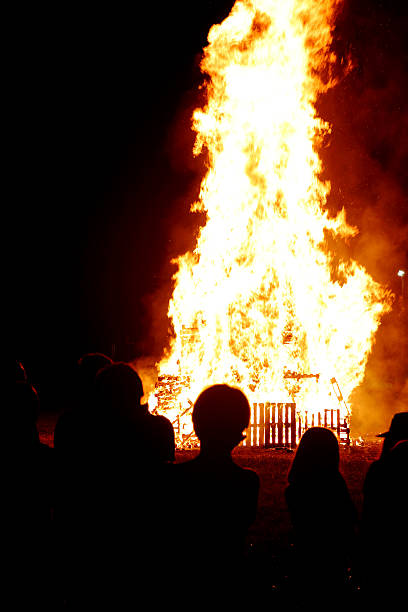 istock Group of people meeting around big bonfire in summer 543201916