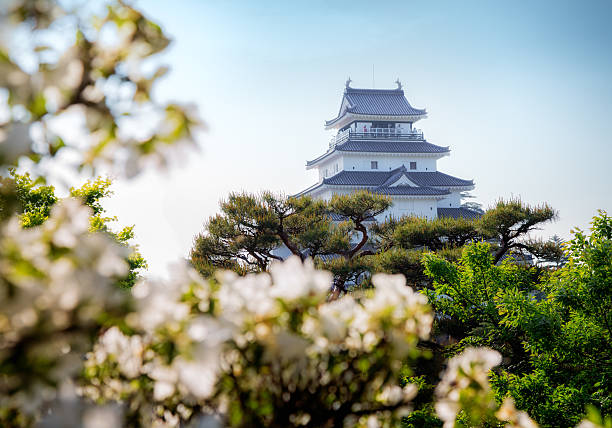Aizuwakamatsu, Japan - May 16, 2016: Aizu-Wakamatsu castle in Spring with blooming Azaleas in the foreground.