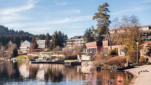 istock Lake Titisee, Black Forest, Germany 543205380