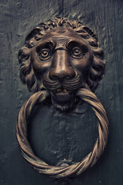 istock Lion head door knocker in Venice 543206574