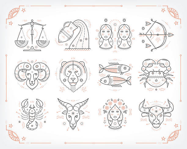 Thin line vector zodiacal symbols. Isolated on white. Thin line vector zodiacal symbols. Astrology, horoscope sign, graphic design elements, printing template. Vintage outline stroke style. Isolated on white. astrology sign illustrations stock illustrations