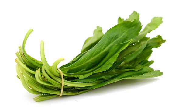 istock Eryngium foetidum or long coriander leaves 543207028