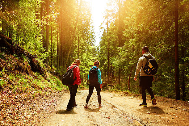 istock mountain trip with my friends 543207066