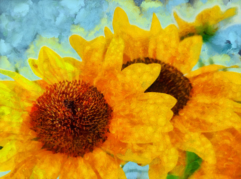 Sunflowers. Detailed oil on canvas texture digital painting.