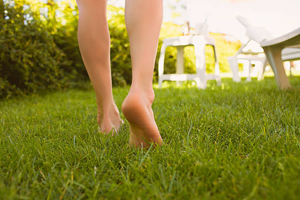 istock Close up female legs walking on the grass. 543212210