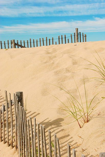 istock Snow Fence, Dune Grass & Bottle 543212712